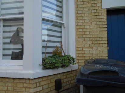 2023 Gwydir St Halloween window